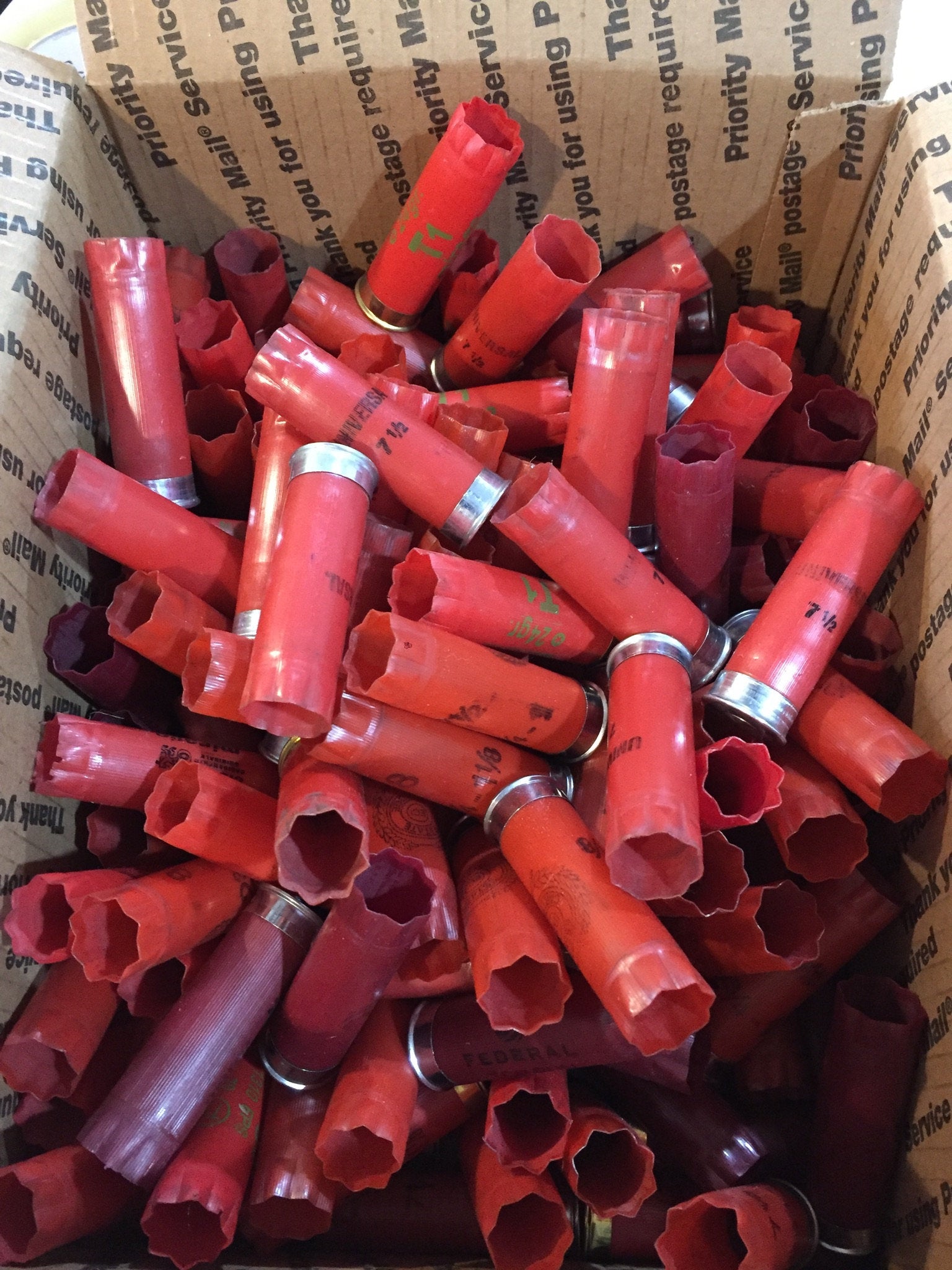 Box of mixed red 12 gauge empty shotgun shells on white displaying metallic brass and nickel base rims.
