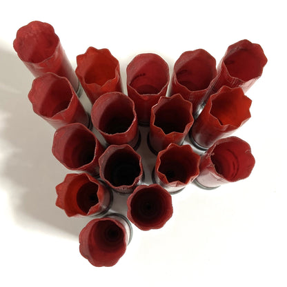 Top-down view of fifteen recovered, once-fired red 12-gauge empty shotgun shells arranged in a V-shaped cluster on a white background. The image focuses on the open top ends of the ribbed plastic hulls, prominently displaying the classic folded star crimps.