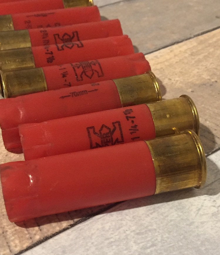 Row of red 12 gauge empty shotgun shells with gold high brass bases on a wood surface