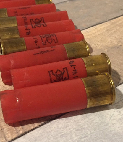Row of red 12 gauge empty shotgun shells with gold high brass bases on a wood surface