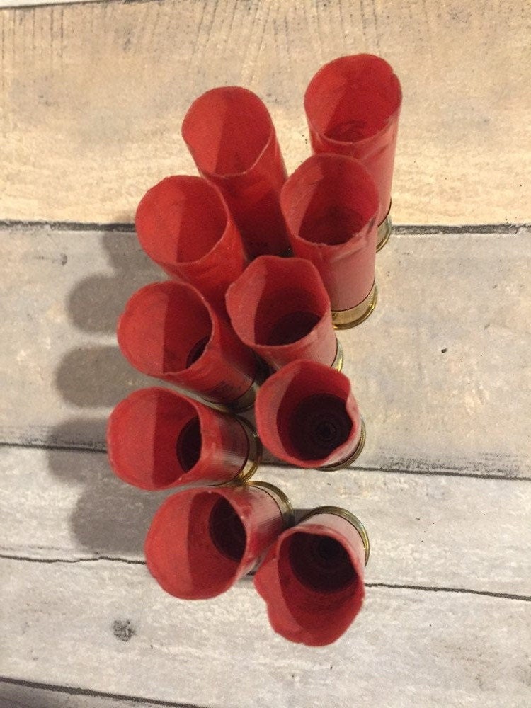 Nine red 12 gauge empty shotgun shells viewed open-end up on a wood plank surface
