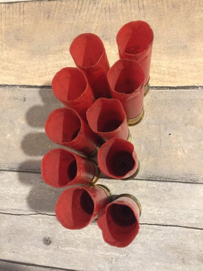 Nine red 12 gauge empty shotgun shells viewed open-end up on a wood plank surface