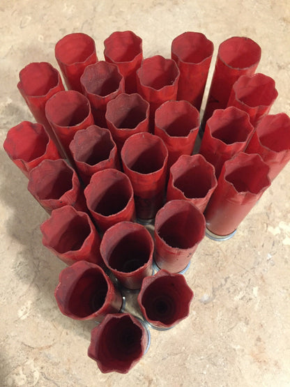 Many red Winchester shotgun shell hulls viewed from above showing open crimped tops