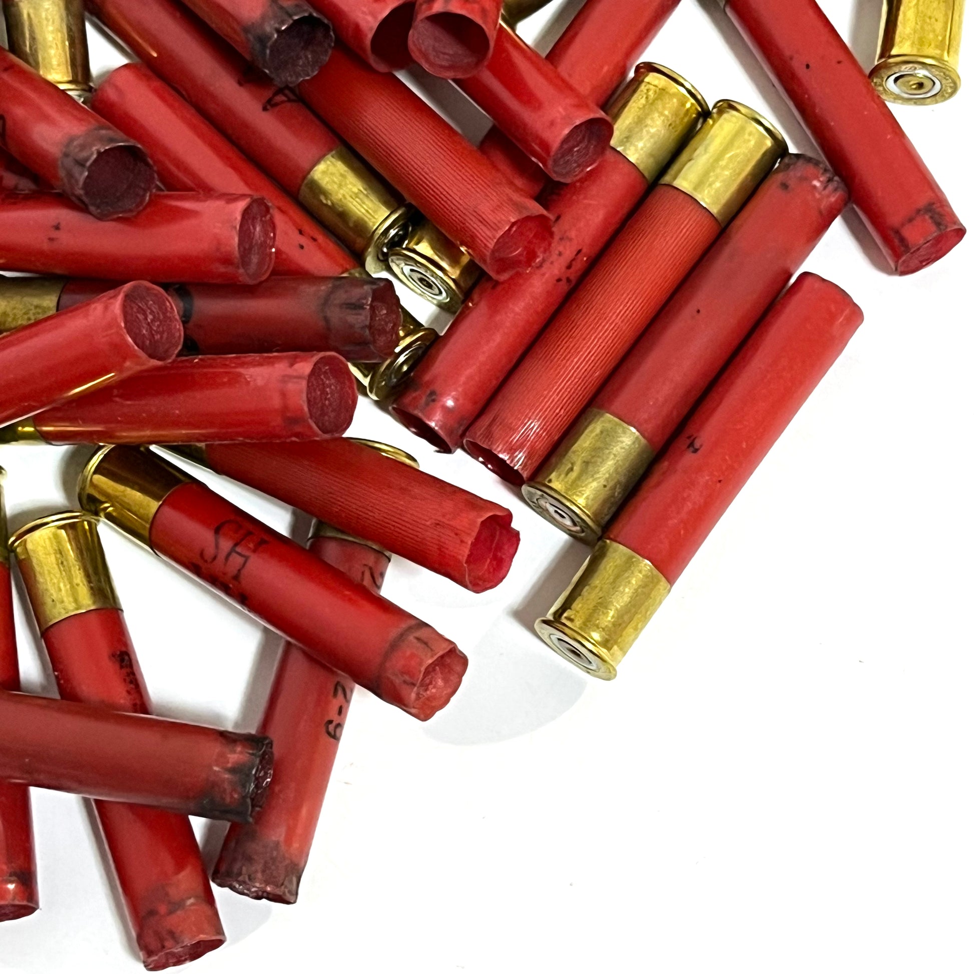 Red Winchester AA 410 bore shotgun shell hulls scattered on a white background, close-up