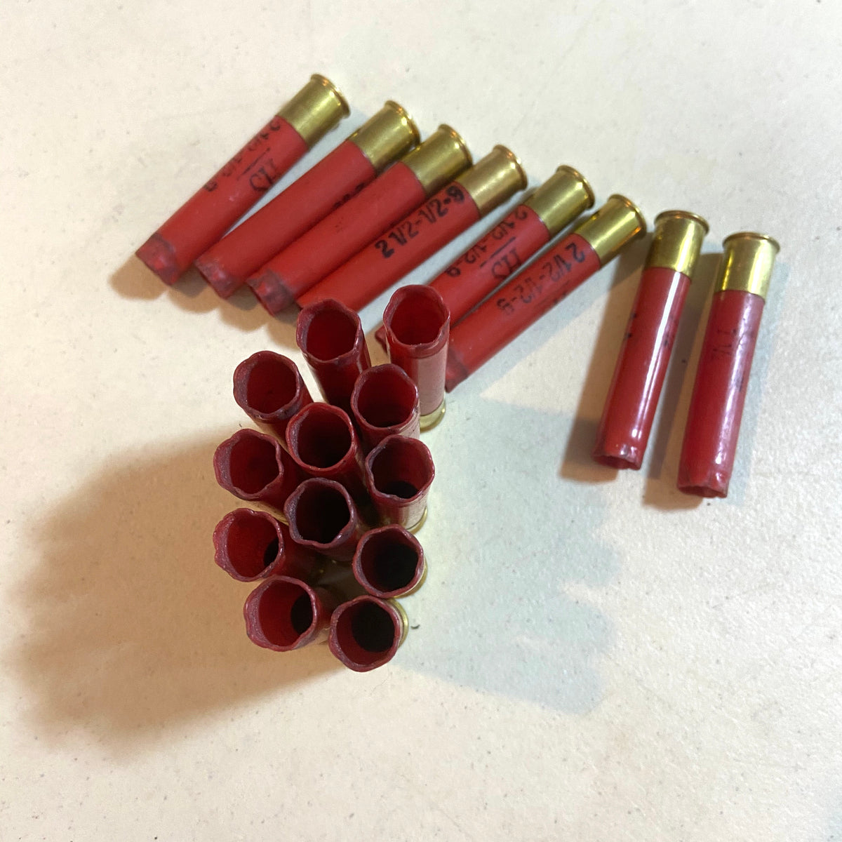 Red Winchester AA 410 bore shotgun shell hulls in a row next to 2 loose hulls on a white background