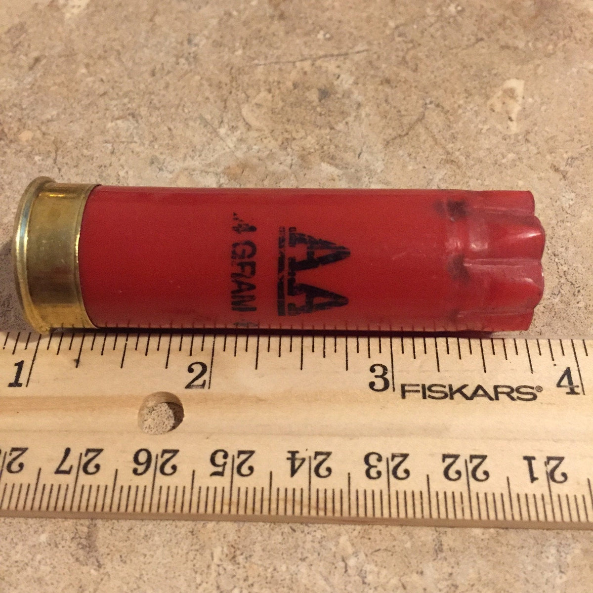 Red Winchester AA Hull Shown Beside Ruler For Scale