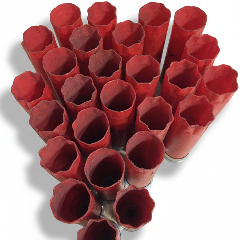 Fanned arrangement of empty red Winchester 12 gauge shotgun shell hulls