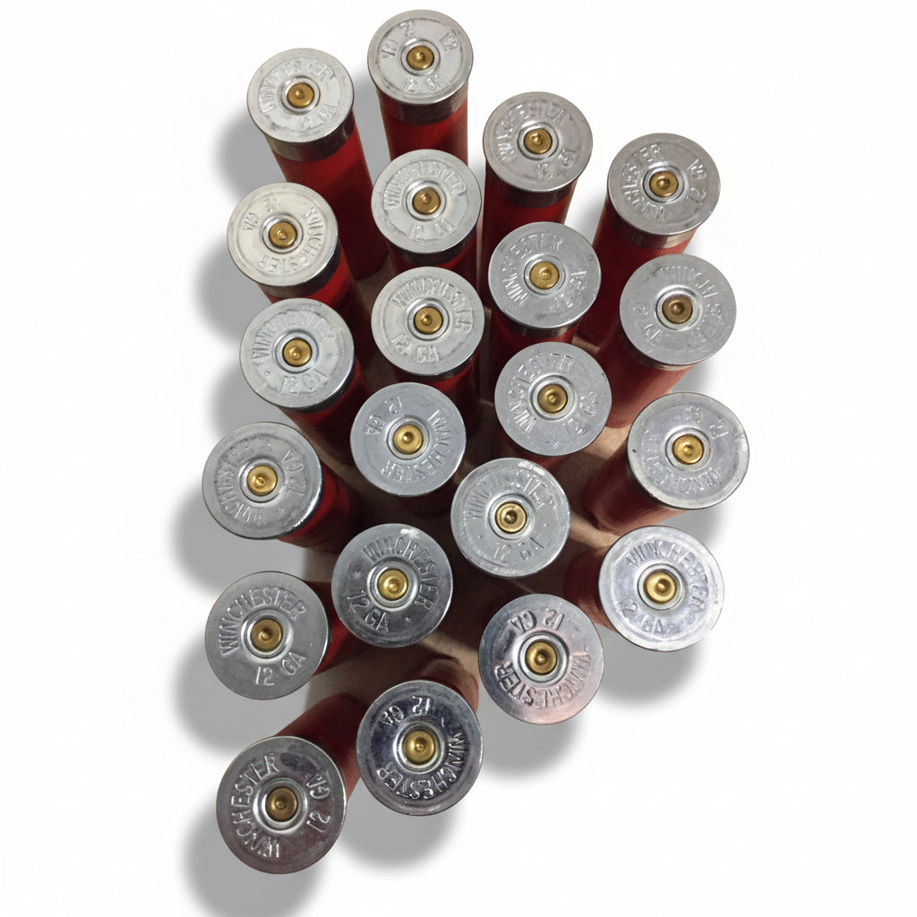 Close-up of Winchester 12 gauge headstamps and struck primers on silver shell bases
