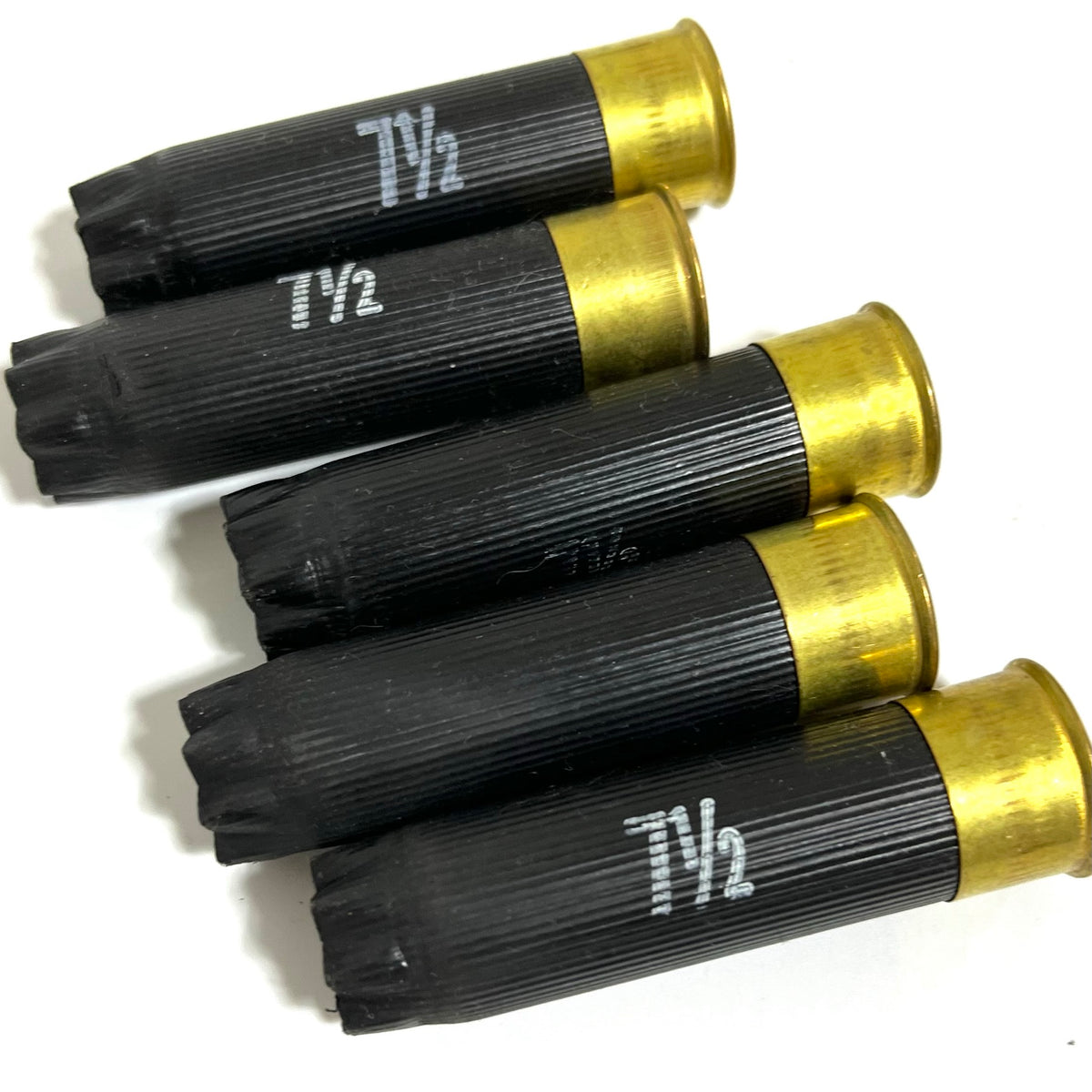 Five black Remington Peters 16 gauge shotgun shells with gold bases marked 7 1/2 shot size