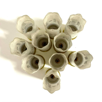 Top-down view of seven, 6 star crimped clear translucent 12 gauge casings arranged in a circle on a white background.
