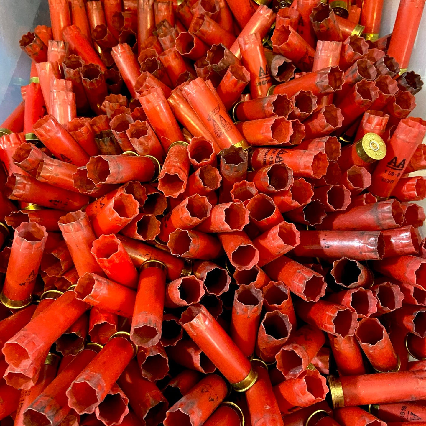 Bulk pile of red Winchester shotgun shell hulls inside a bin, one brass base showing an AA logo