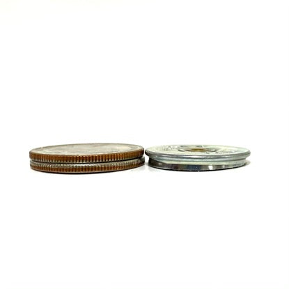 Shotgun Slices Height 12 Gauge