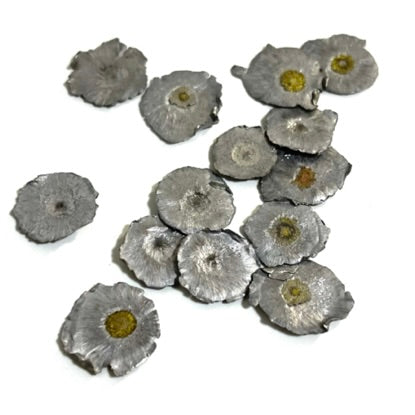 Small Fired Bullets Fragments Splatter Slices Shrapnel 6 Pcs