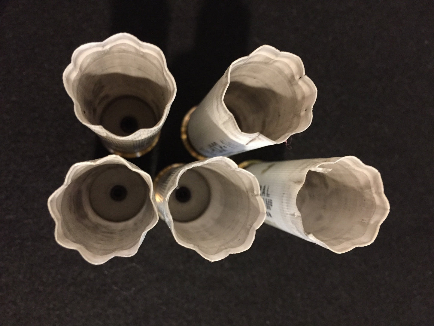 Top-down view of five white empty shotgun hulls showing the opened crimped tops.
