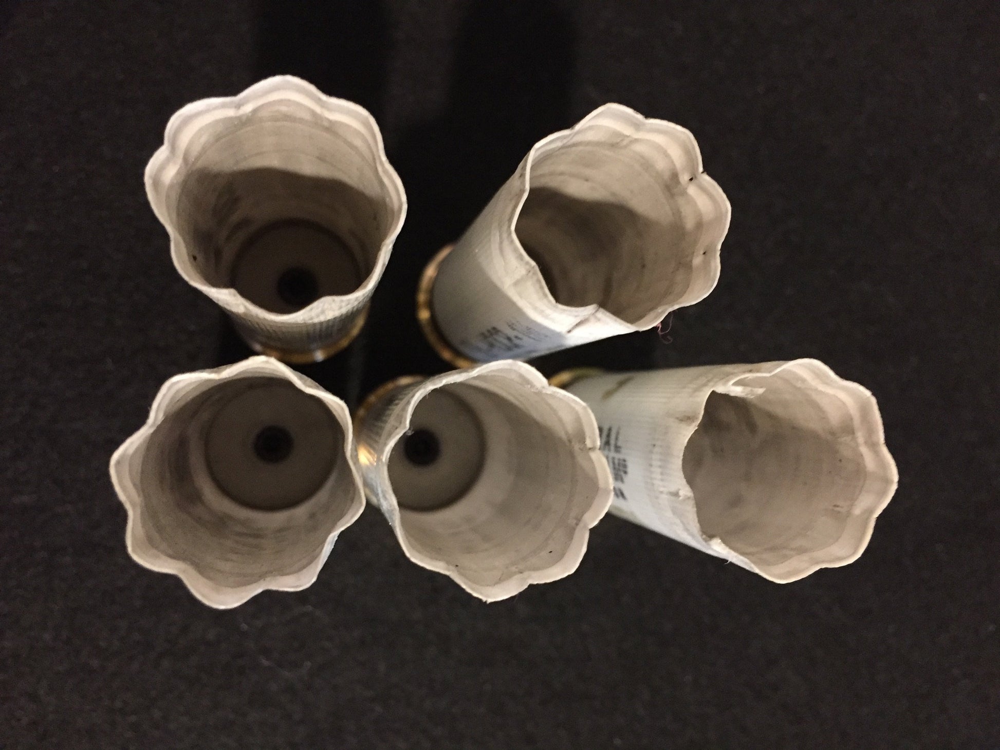 Top-down view of five white empty shotgun hulls showing the opened crimped tops.
