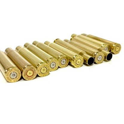 A row of spent rifle rounds lined up side by side on a white background, highlighting the circular headstamps.

