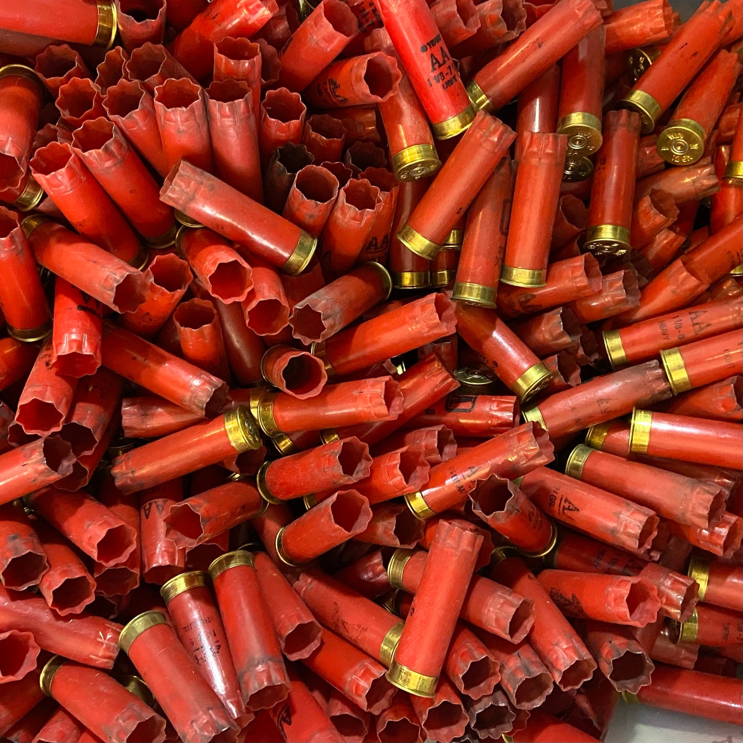 Scattered red spent casings lying flat, showing Winchester AA brand printing and gold brass rims.