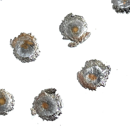Tiny Fired Bullets Fragments Splatter Slices Shrapnel 6 Pcs
