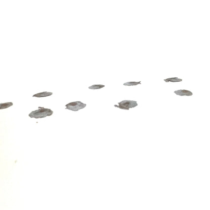 Tiny Fired Bullets Fragments Splatter Slices Shrapnel 6 Pcs