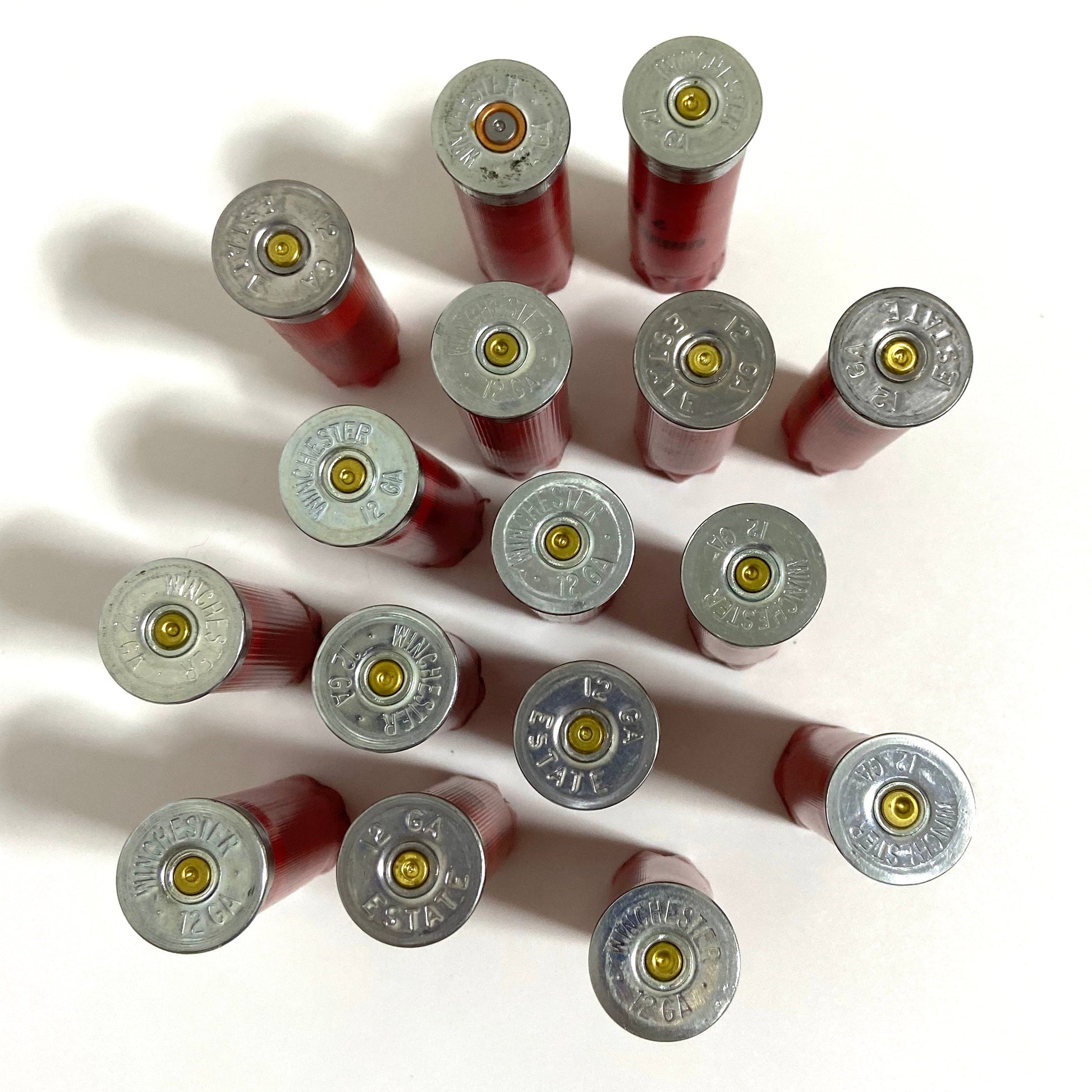 Direct overhead view of eleven standing red 12 gauge shotgun hulls showing silver metal headstamps and spent primers.