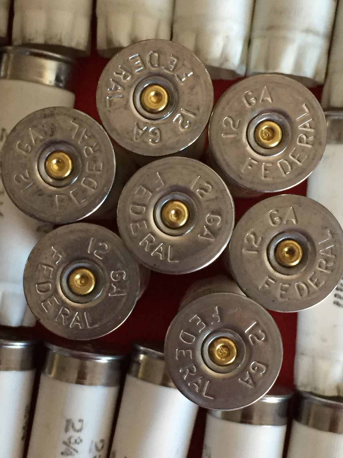 Closeup of seven “12 GA Federal” shotgun shell bases with brass primers, viewed from above