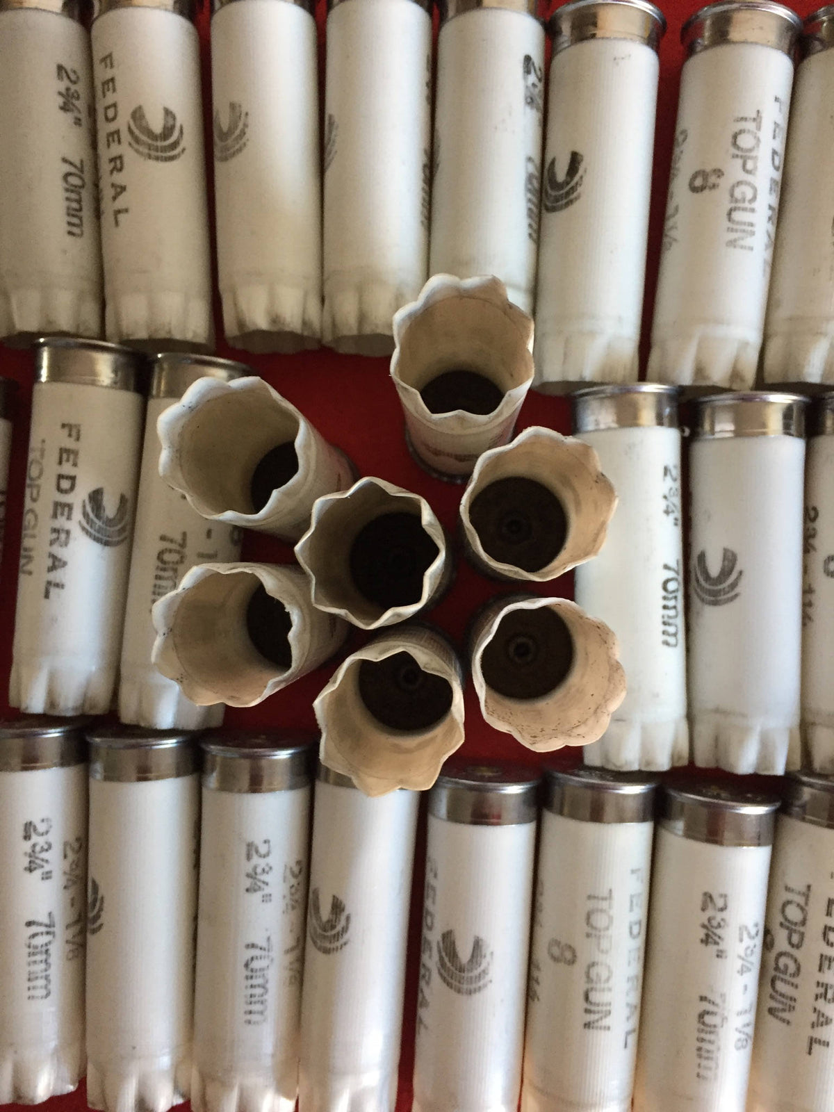 Once Fired 12GA Hulls White