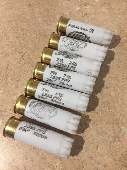 Empty Shotgun Shells Once Fired