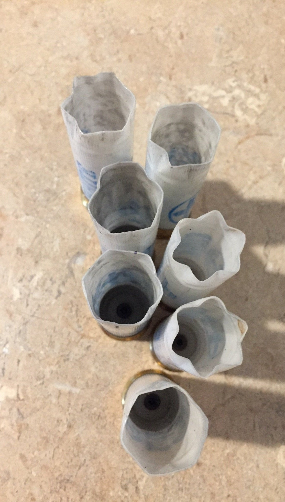 7 white shotgun shells viewed from above showing open star-crimped mouths