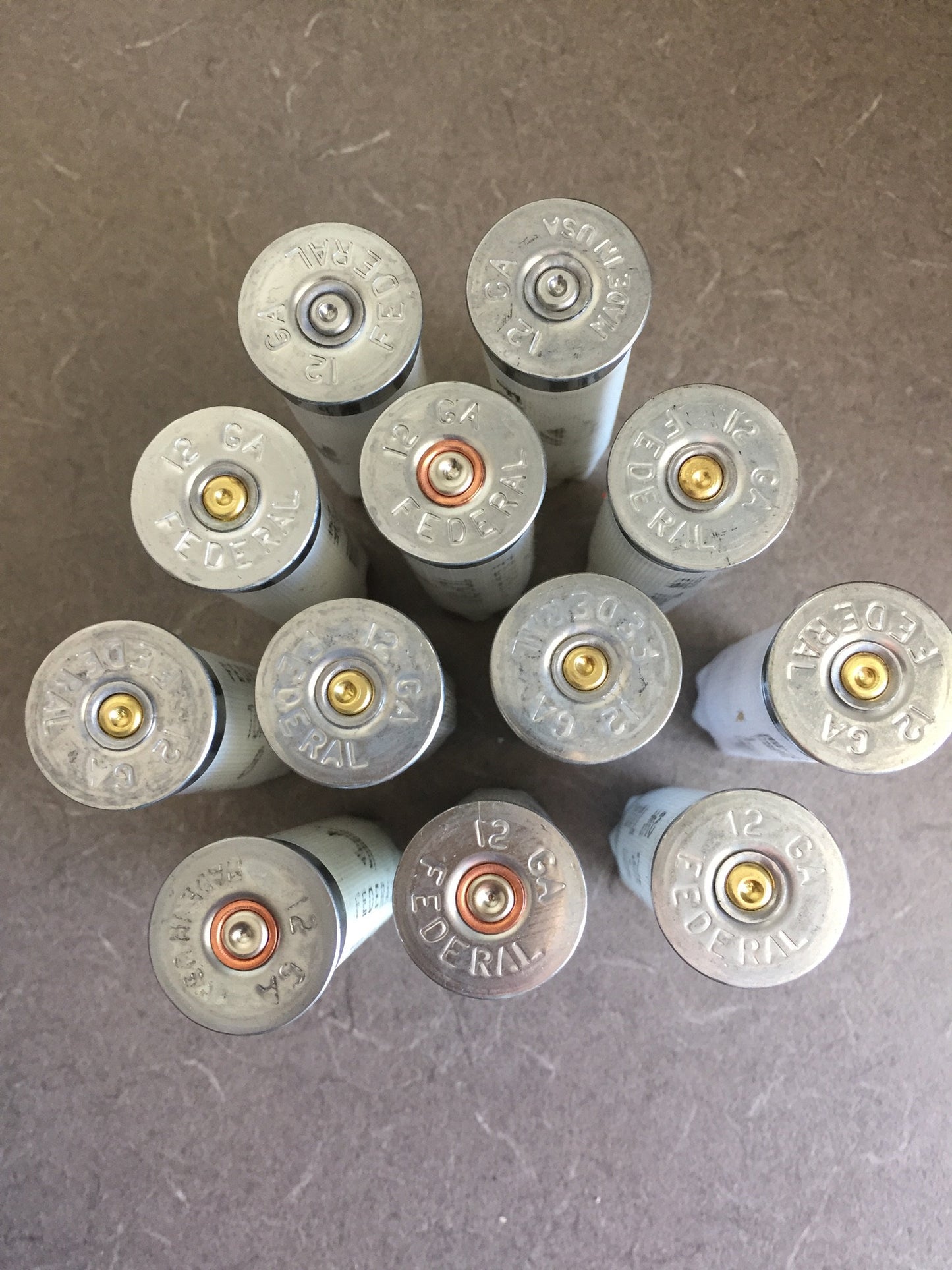 Eleven white Federal 12 gauge shotgun shells viewed from above showing silver headstamps