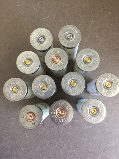 Eleven white Federal 12 gauge shotgun shells viewed from above showing silver headstamps