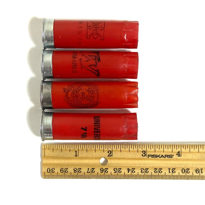 Four red 12 gauge Winchester hulls stacked next to a wooden ruler demonstrating 2 3/4 inch case length.