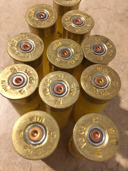 Overhead view of empty yellow Winchester 20-gauge cartridges, headstamps reading 'WIN 20 GA' clearly visible.