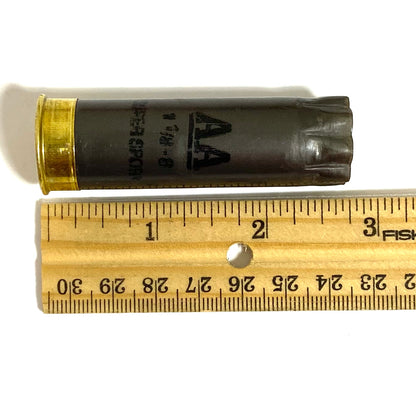 Single spent gray Winchester AA 12 gauge shotgun shell aligned on a wooden ruler showing two and three quarter inch length.