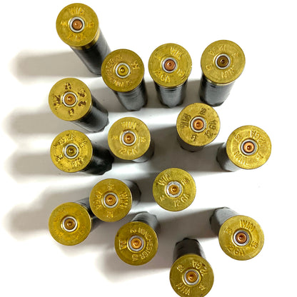 Twelve spent gray Winchester AA 12 gauge shotgun shells standing upright showing stamped gold brass headstamps.