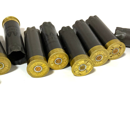 Seven spent gray Winchester AA 12 gauge shotgun shells on a white background with three showing brass headstamps.