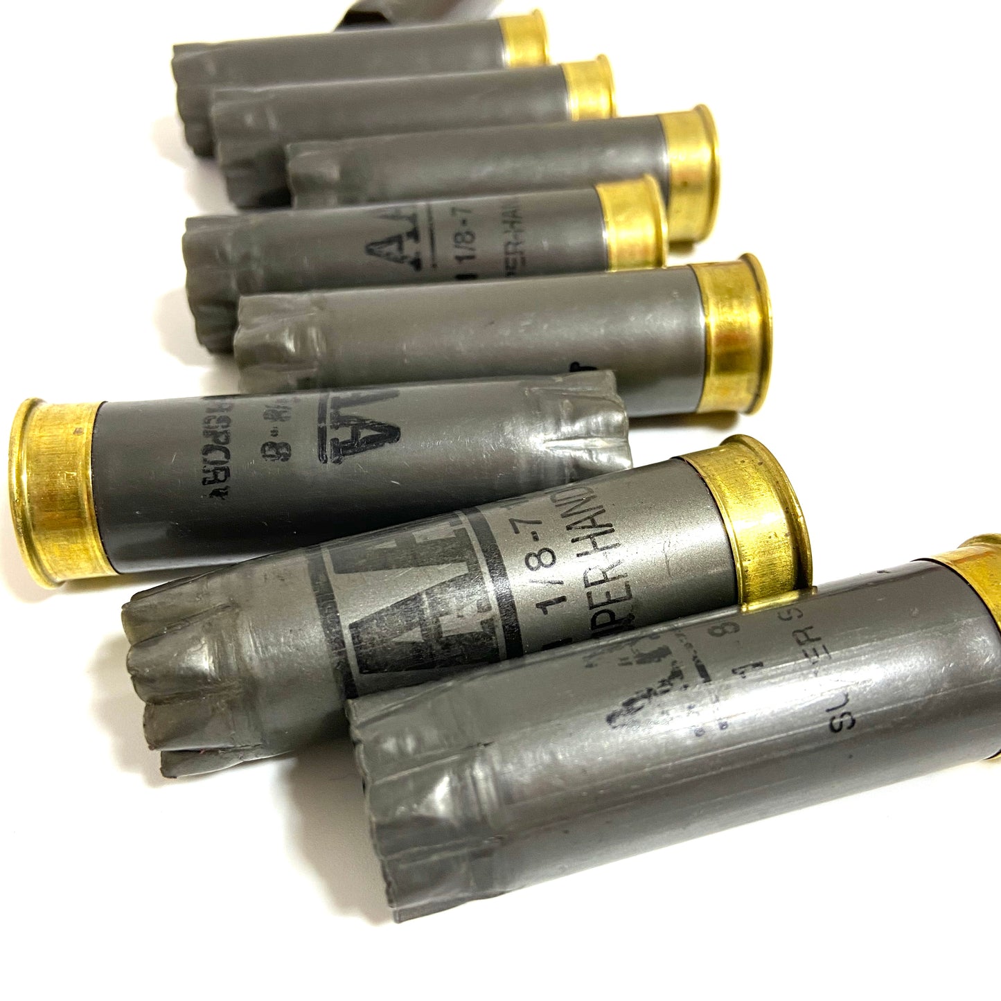 Twelve spent gray Winchester AA 12 gauge shotgun shells standing upright on a white background showing brass bases.