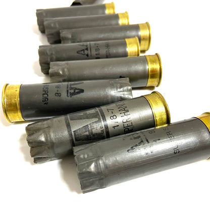 Twelve spent gray Winchester AA 12 gauge shotgun shells standing upright on a white background showing brass bases.