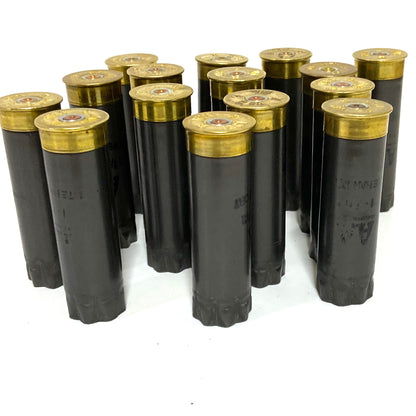 Twelve spent gray Winchester AA 12 gauge shotgun shells standing upside down showing brass headstamps.