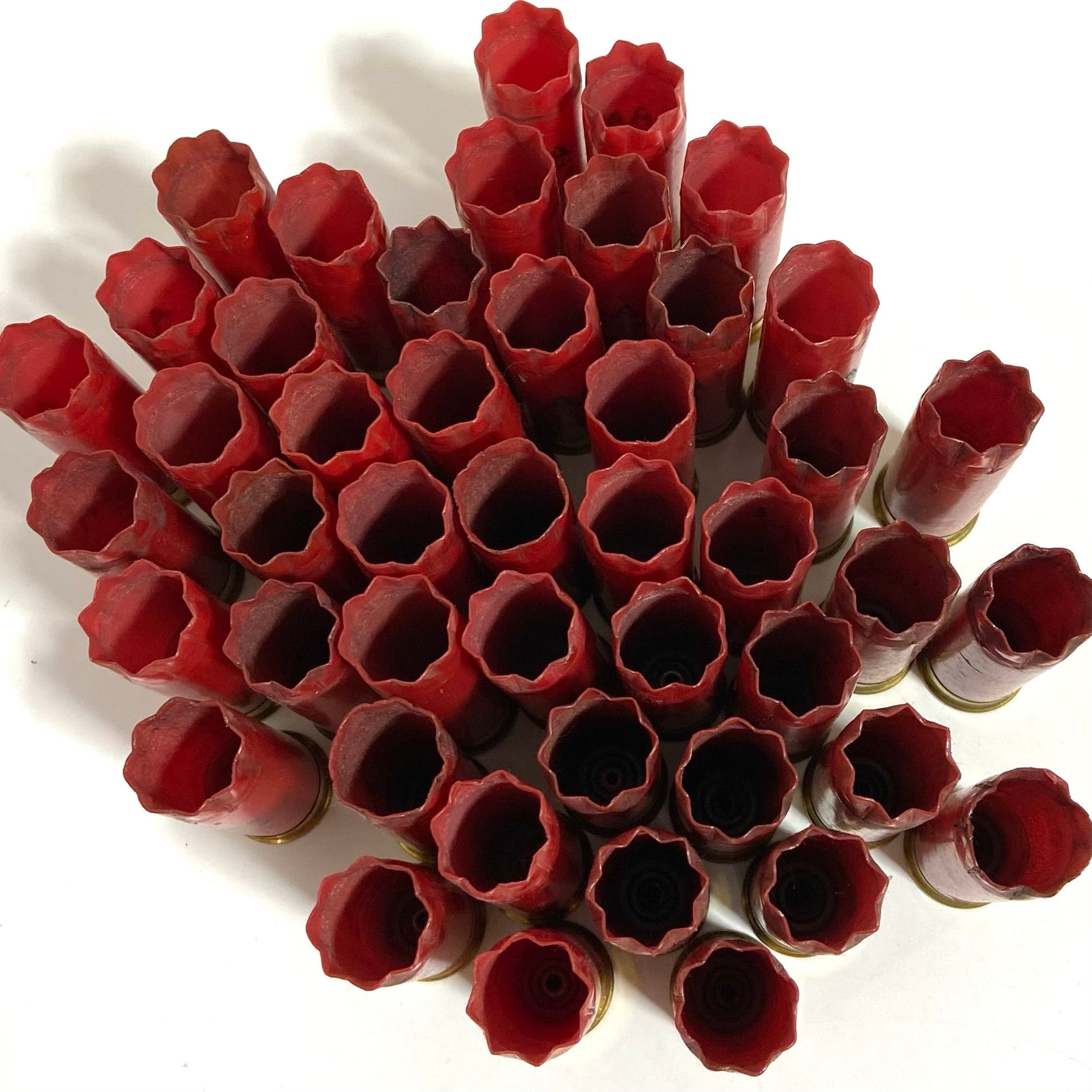 Overhead view of Winchester AA 12 gauge red shotgun hulls packed tightly together, showing open 8 star-crimped tops