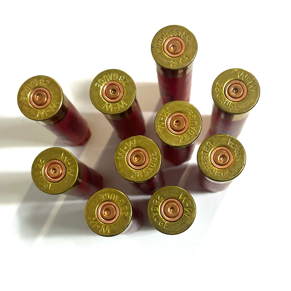 Overhead view of a group of red 28 gauge Winchester AA shotgun shell hulls showing headstamps
