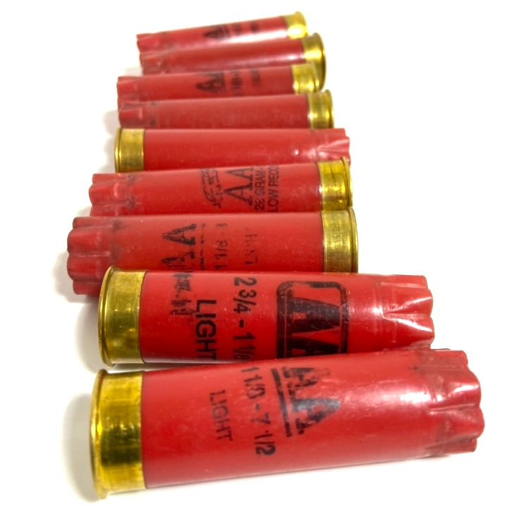 Seven red Winchester AA shotgun spent hulls with brass bases stacked in a diagonal row on white background
