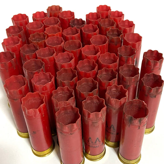 Large group of red Winchester AA spent shotgun shell hulls standing upright showing open star-crimped ends