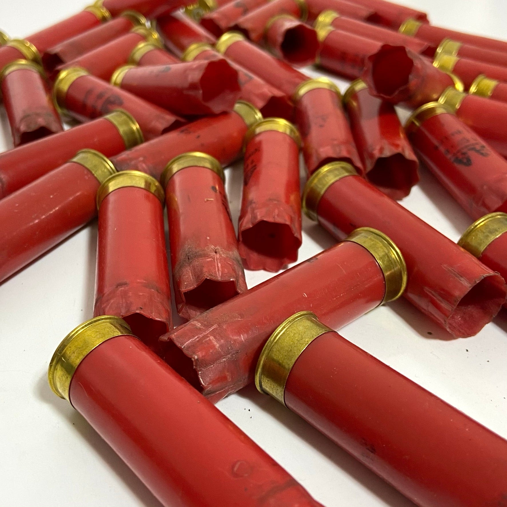 Close-up of Winchester red shotgun spent casings scattered at angles on a white surface with brass bases