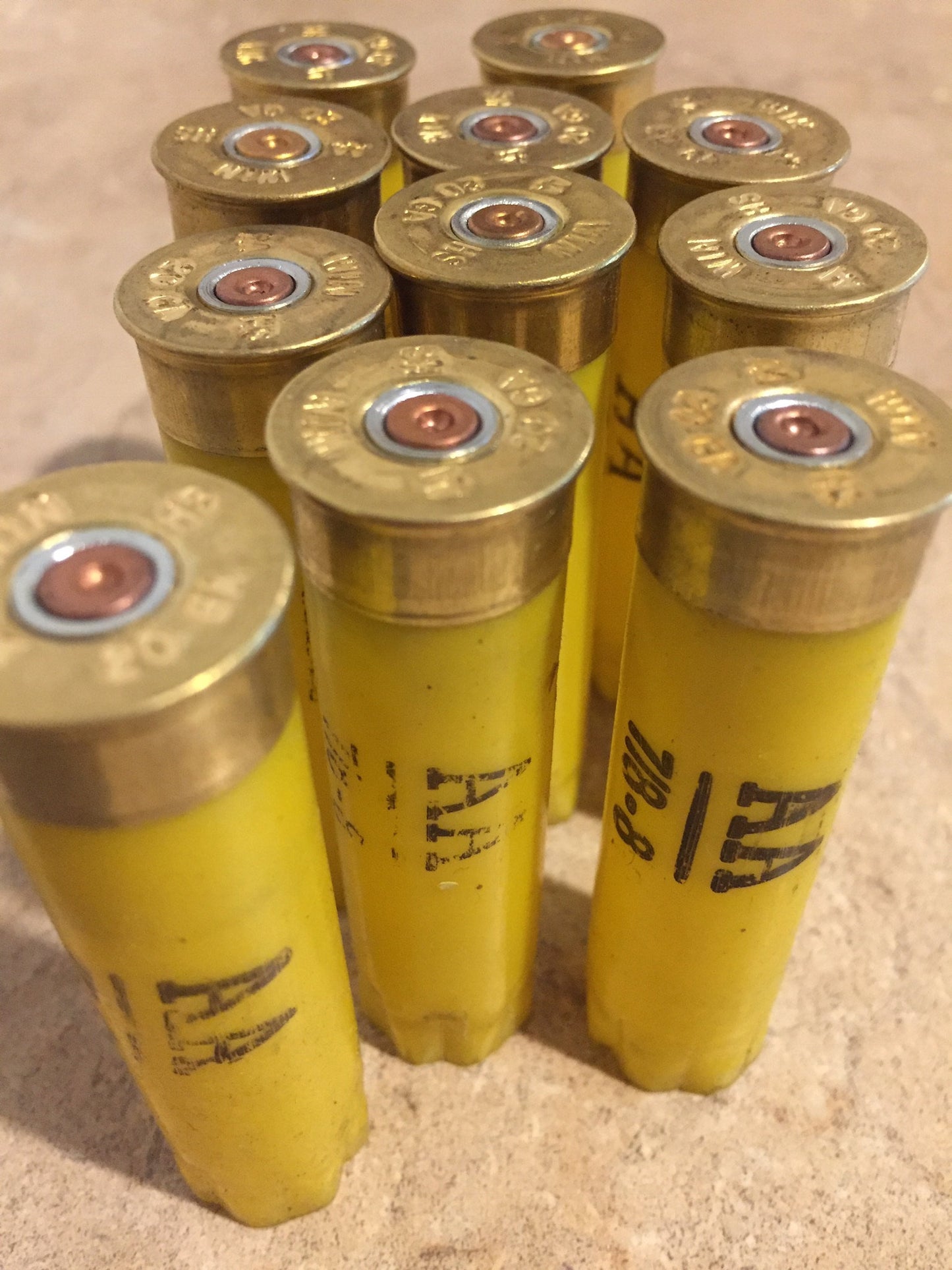 A cluster of once-fired yellow shotshells stands together, brass headstamps and primers facing upward.