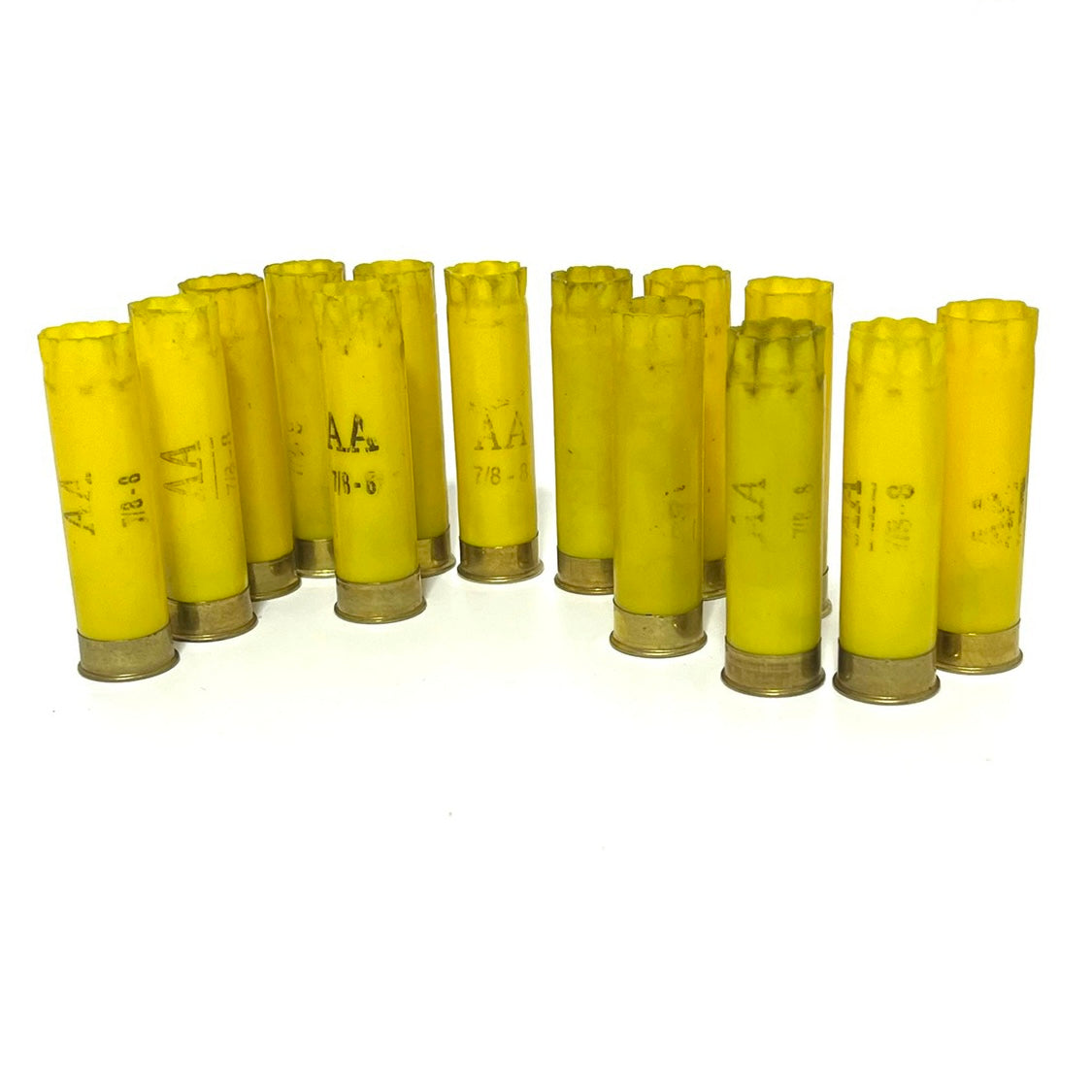Twelve used yellow shotgun casings stand together in a curved arc, with faded AA markings visible on several.