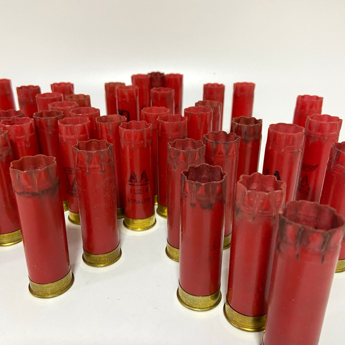 Group of red 12 gauge shotgun casings standing upright with star-crimped tops, brass bases showing