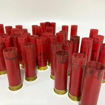 Group of red 12 gauge shotgun casings standing upright with star-crimped tops, brass bases showing