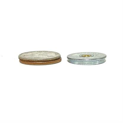 Shotgun Slices Height 12 Gauge Winchester