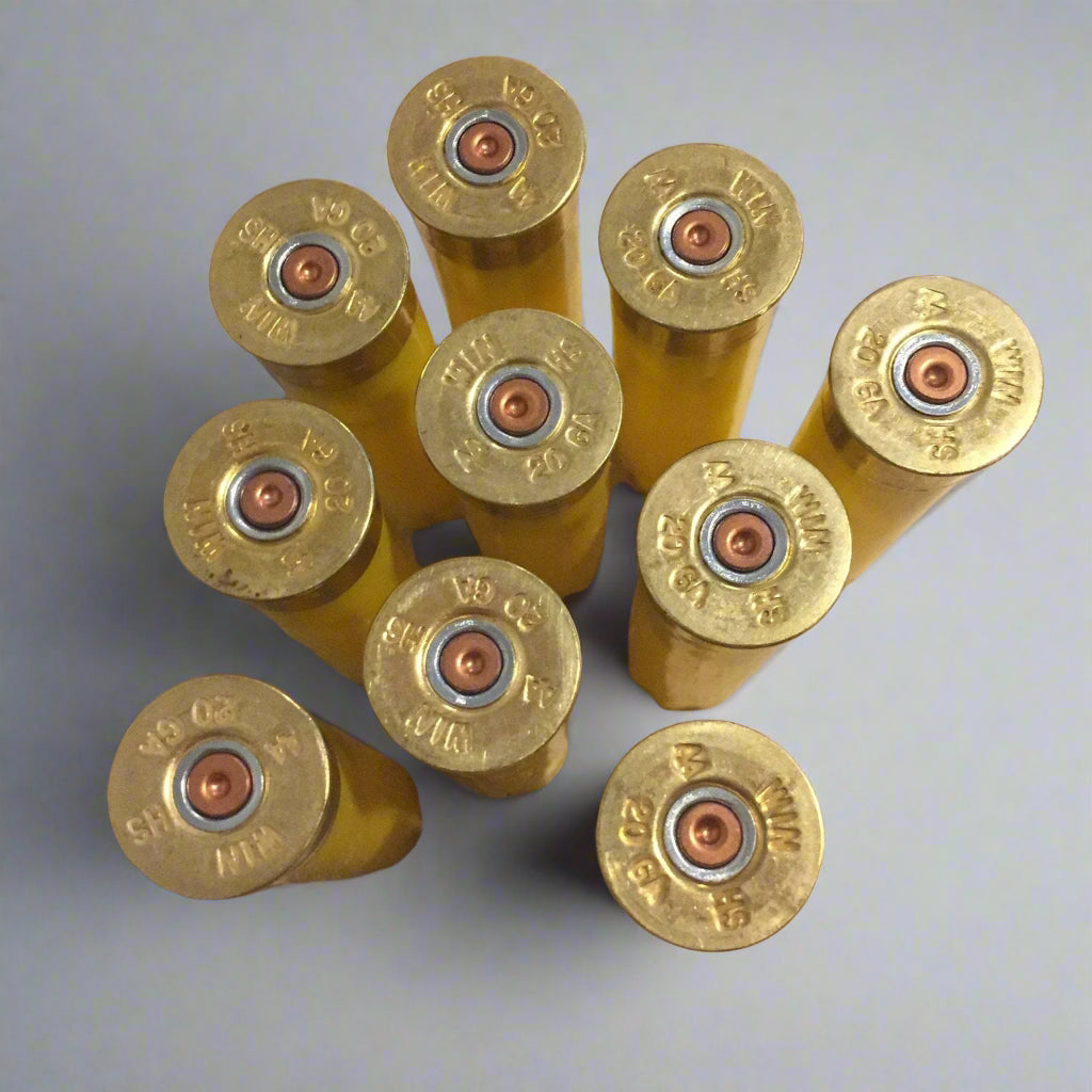 Nine brass 20 gauge shotgun shell bases viewed from above, showing stamped headstamps and primers