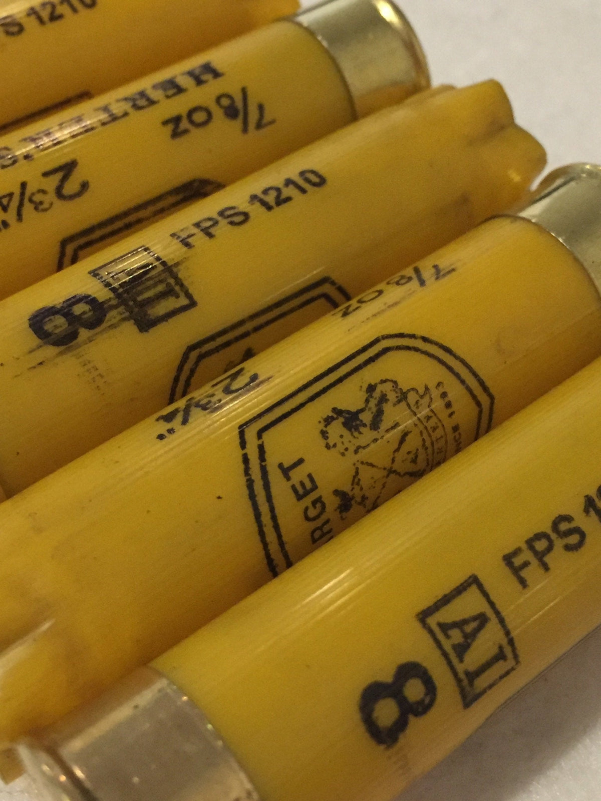 5 yellow shotgun shells lying in a row showing printed text and brass heads on a white surface